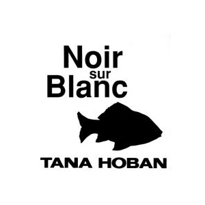 noir sur blanc.JPG view